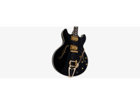 Sire Larry Carlton H7T Black Sire Larry Carlton H7T Black